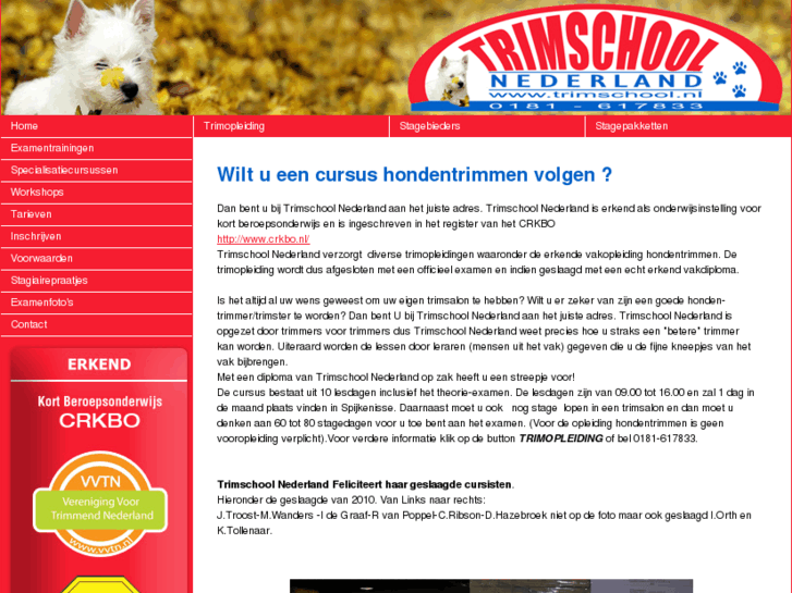 www.trimschool.com