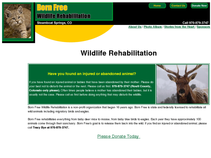 www.wildlife-rehabilitation.com