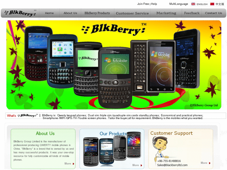 www.blkberry.net