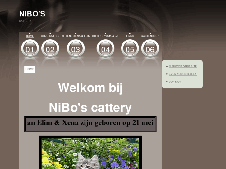 www.du-yu-no.nl