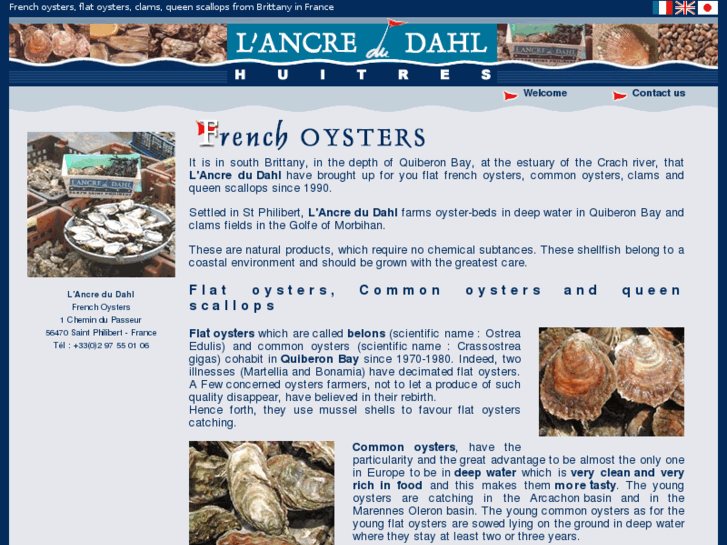 www.french-oysters.com