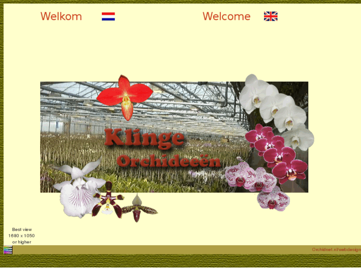 www.orchids-klinge.com