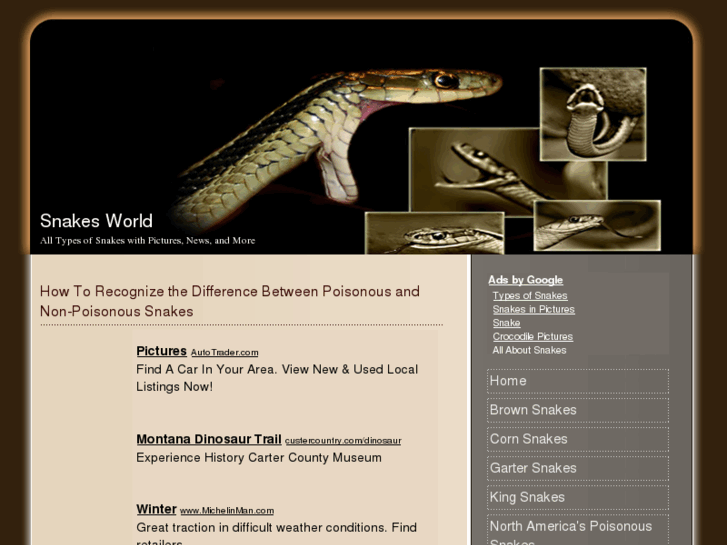 www.snakesworld.info