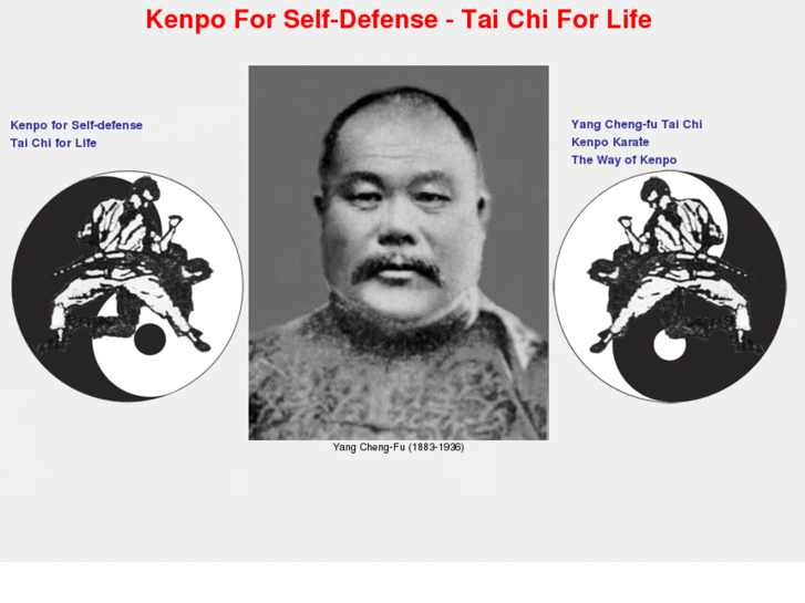 www.taichi-4-life.com