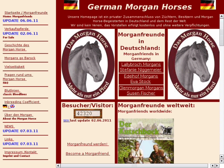 www.germanmorganhorse.com