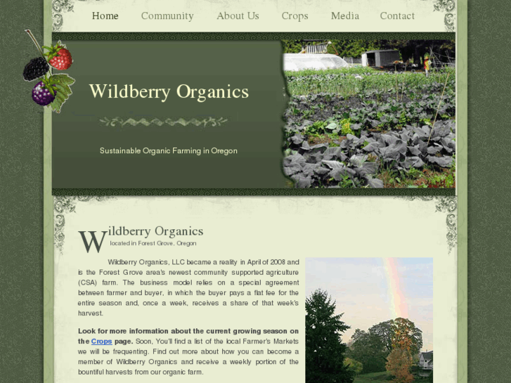 www.wildberryorganics.com