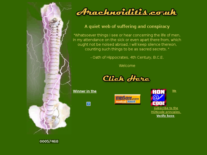 www.arachnoiditis.co.uk