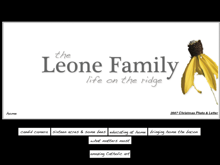 www.leonefamily.org