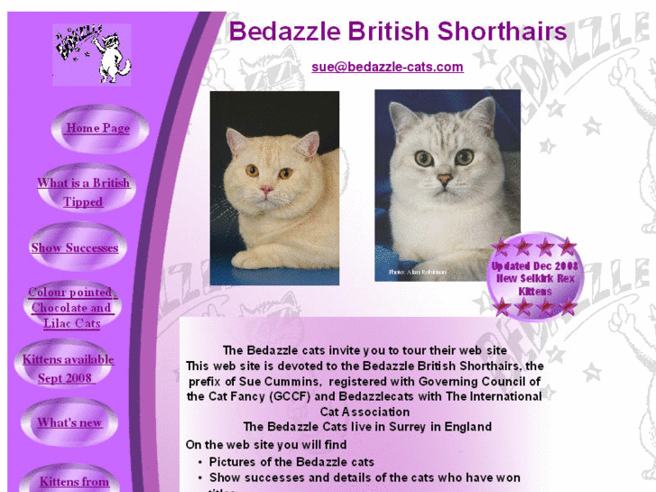 www.bedazzle-cats.com