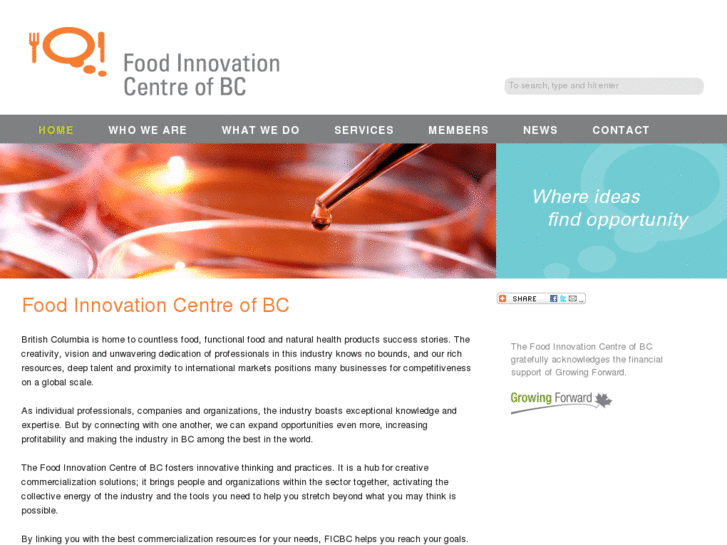 www.ficbc.net