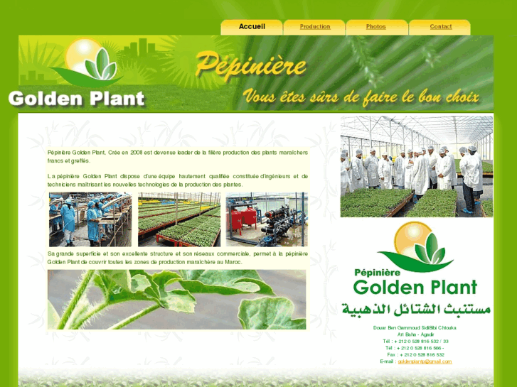 www.goldenplant.com