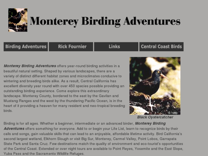 www.montereybirdingadventures.com