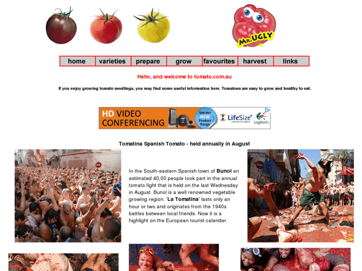 www.tomato.com.au