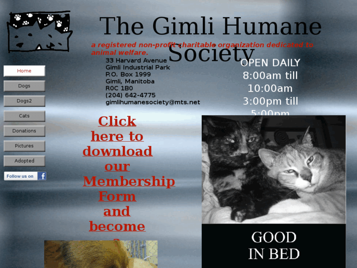 www.gimlianimalshelter.com