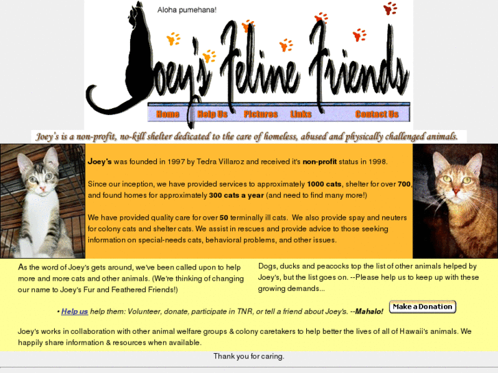 www.joeysfelinefriends.org