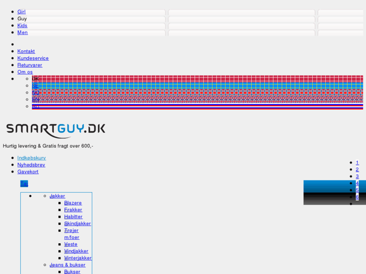 www.smart-guy.dk