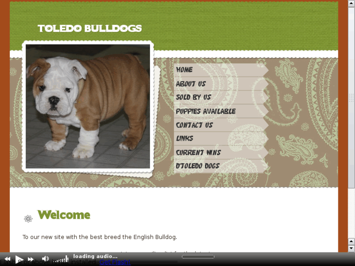 www.toledoenglishbulldogs.com