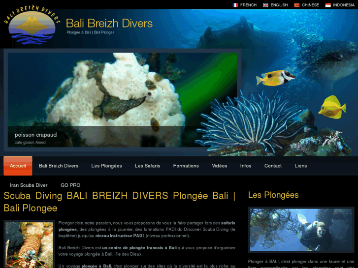 www.bali-breizh-divers.com