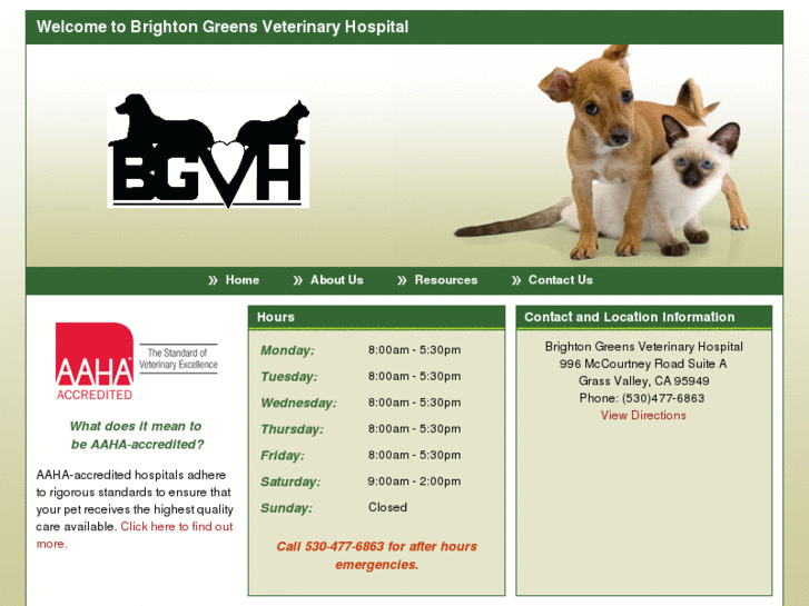 www.brightongreensvet.com