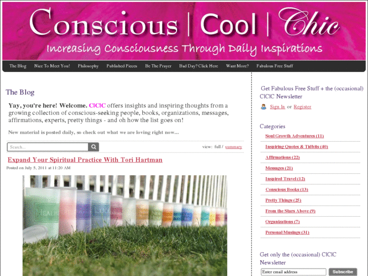 www.consciouscoolchic.com