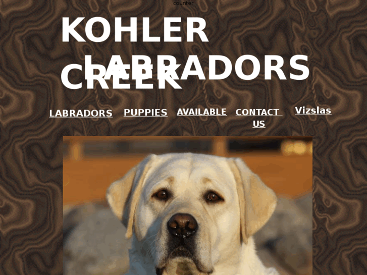 www.kohlercreeklabradors.com