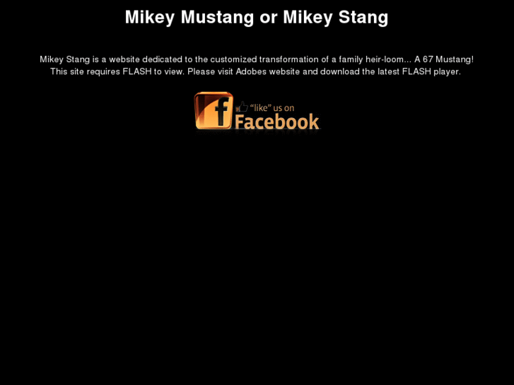 www.mikeystang.com