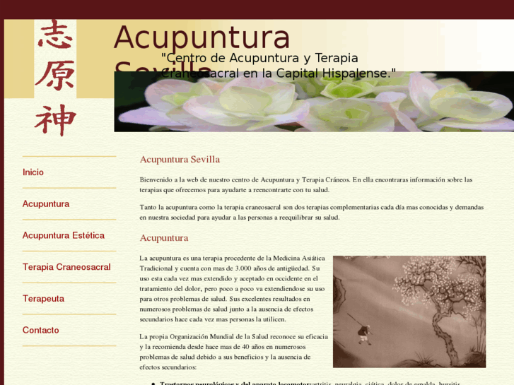 www.acupunturasevilla.com