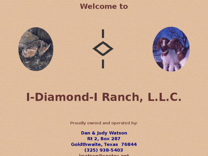 www.idiamondi.com