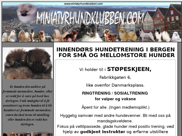 www.miniatyrhundklubben.com