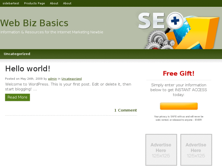 www.webbizbasics.com