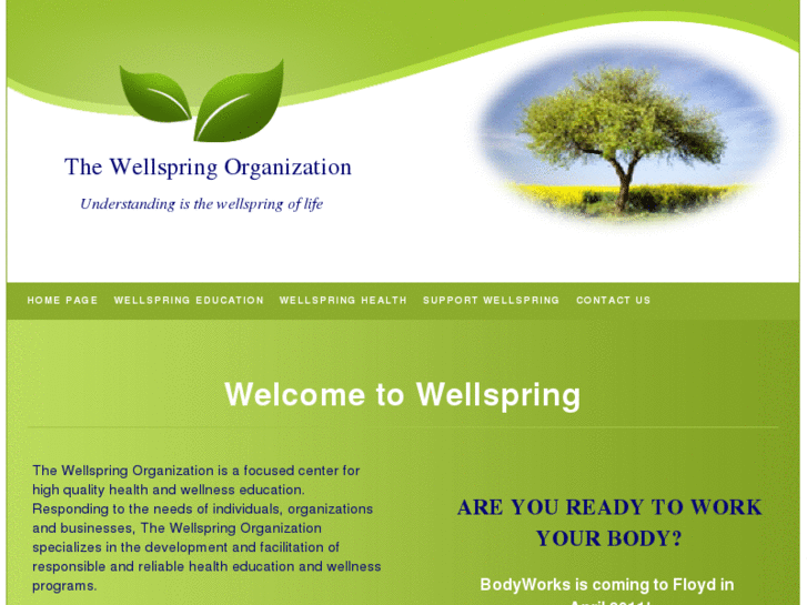 www.wellspringorganization.org