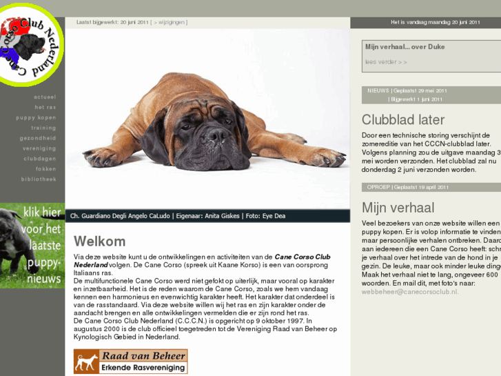 www.canecorsoclub.nl