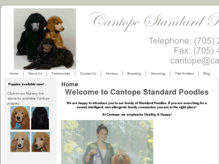 www.cantope-standard-poodles.com