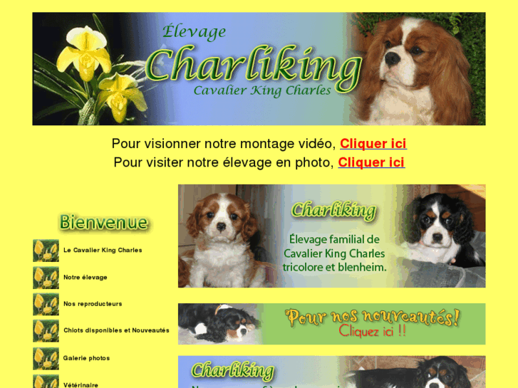 www.charliking.com