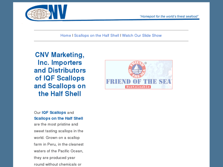 www.cnvmarketing.com