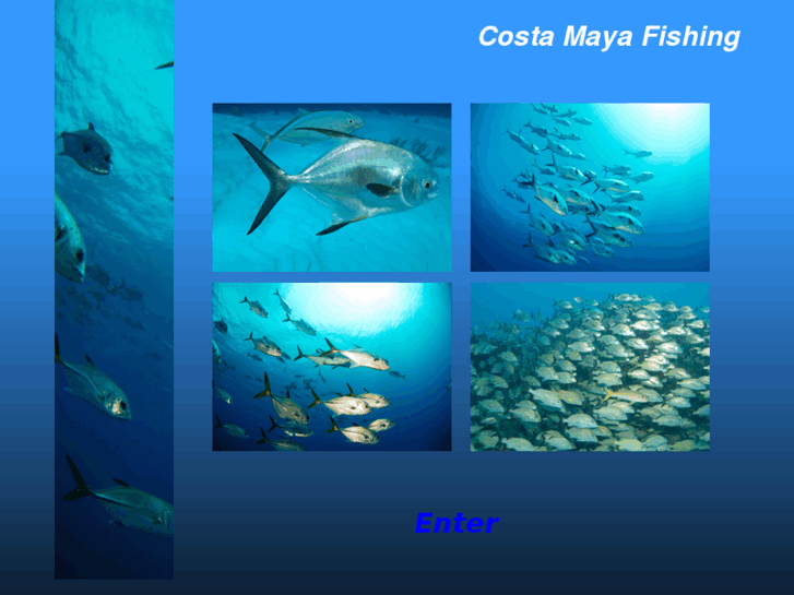 www.costamayafishing.com