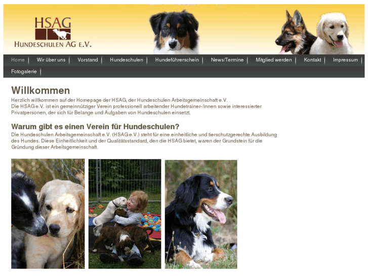 www.hundeschulen-ag.com