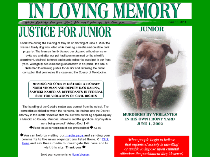 www.justiceforjunior.com