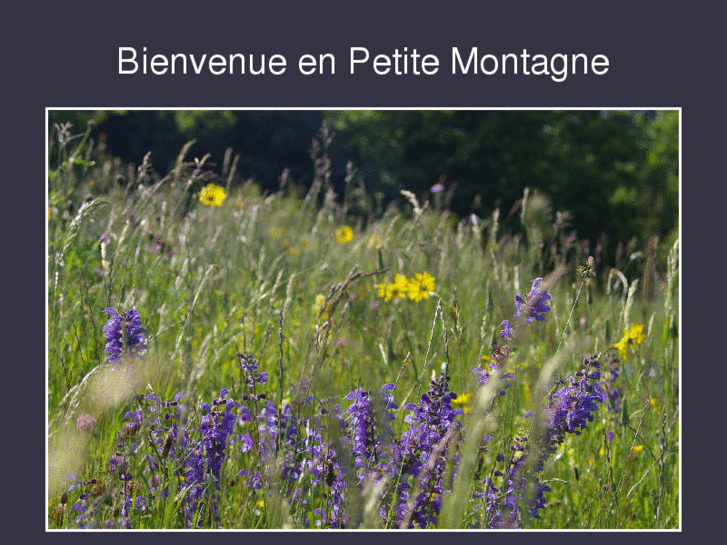 www.petite-montagne.net