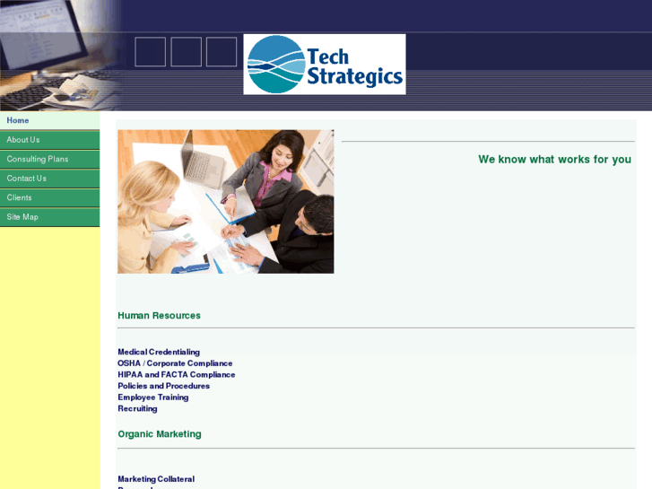 www.techstrategics.com