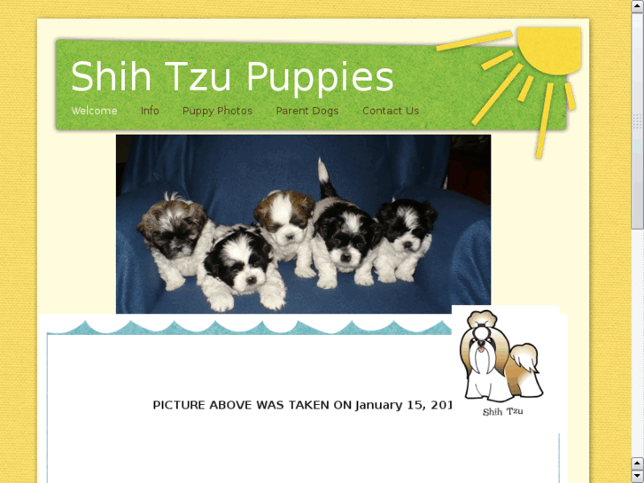 www.yakimashihtzu.com