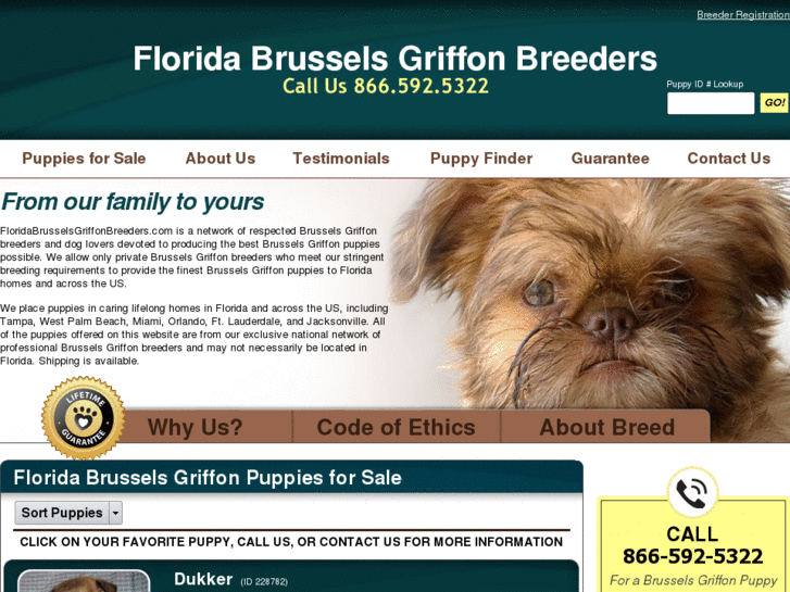 www.floridabrusselsgriffonbreeders.com