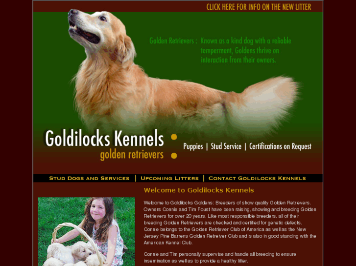 www.goldilockskennels.com