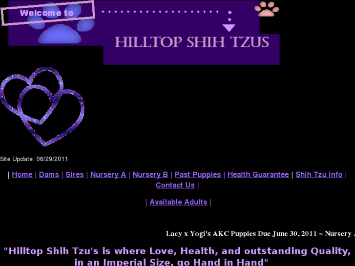 www.hilltopshihtzus.com