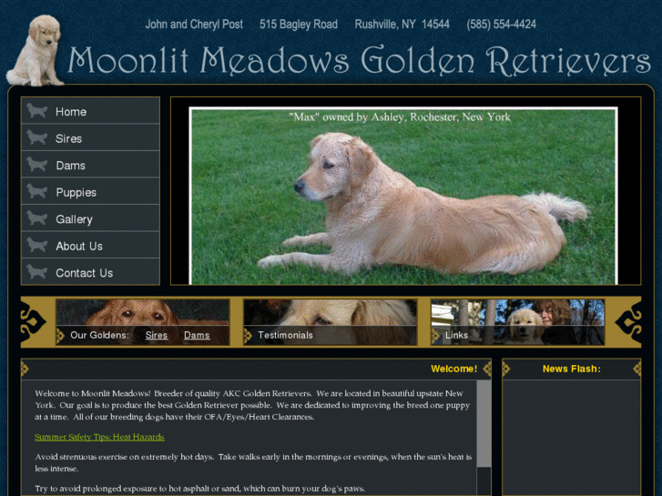 www.moonlitgoldens.com