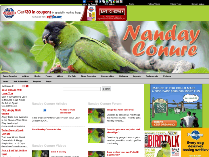 www.nanday-conure.com