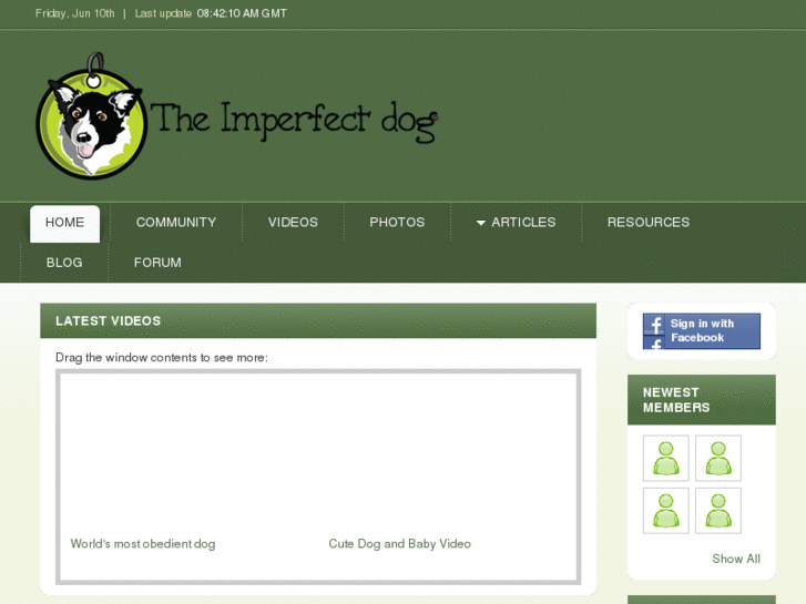 www.theimperfectdog.com