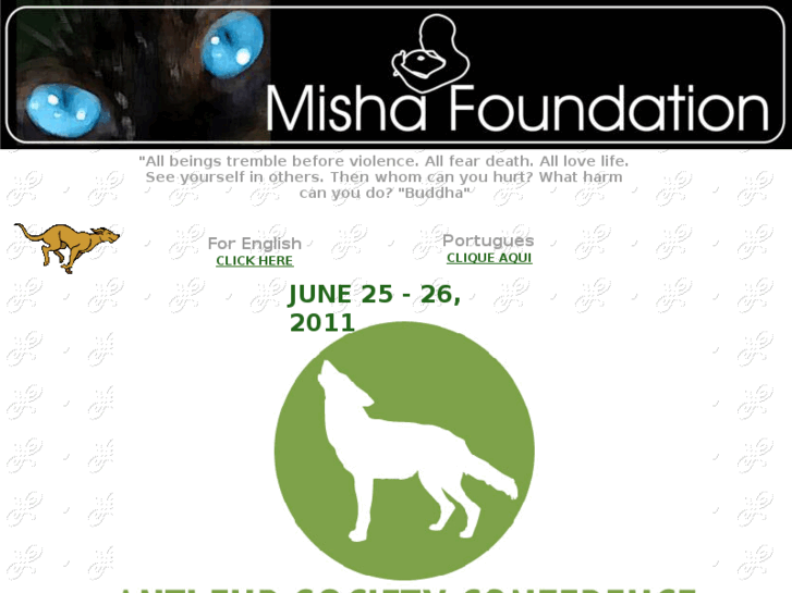 www.mishafoundation.org