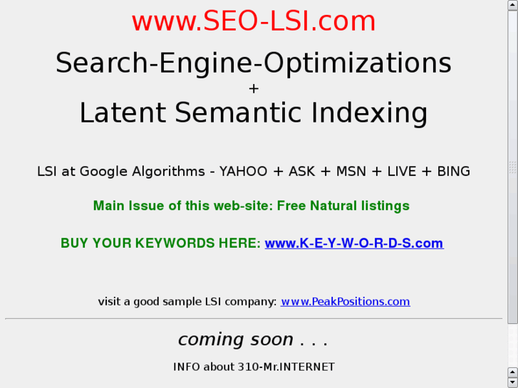 www.seo-lsi.com