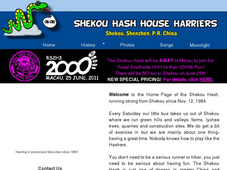 www.shekouhash.com